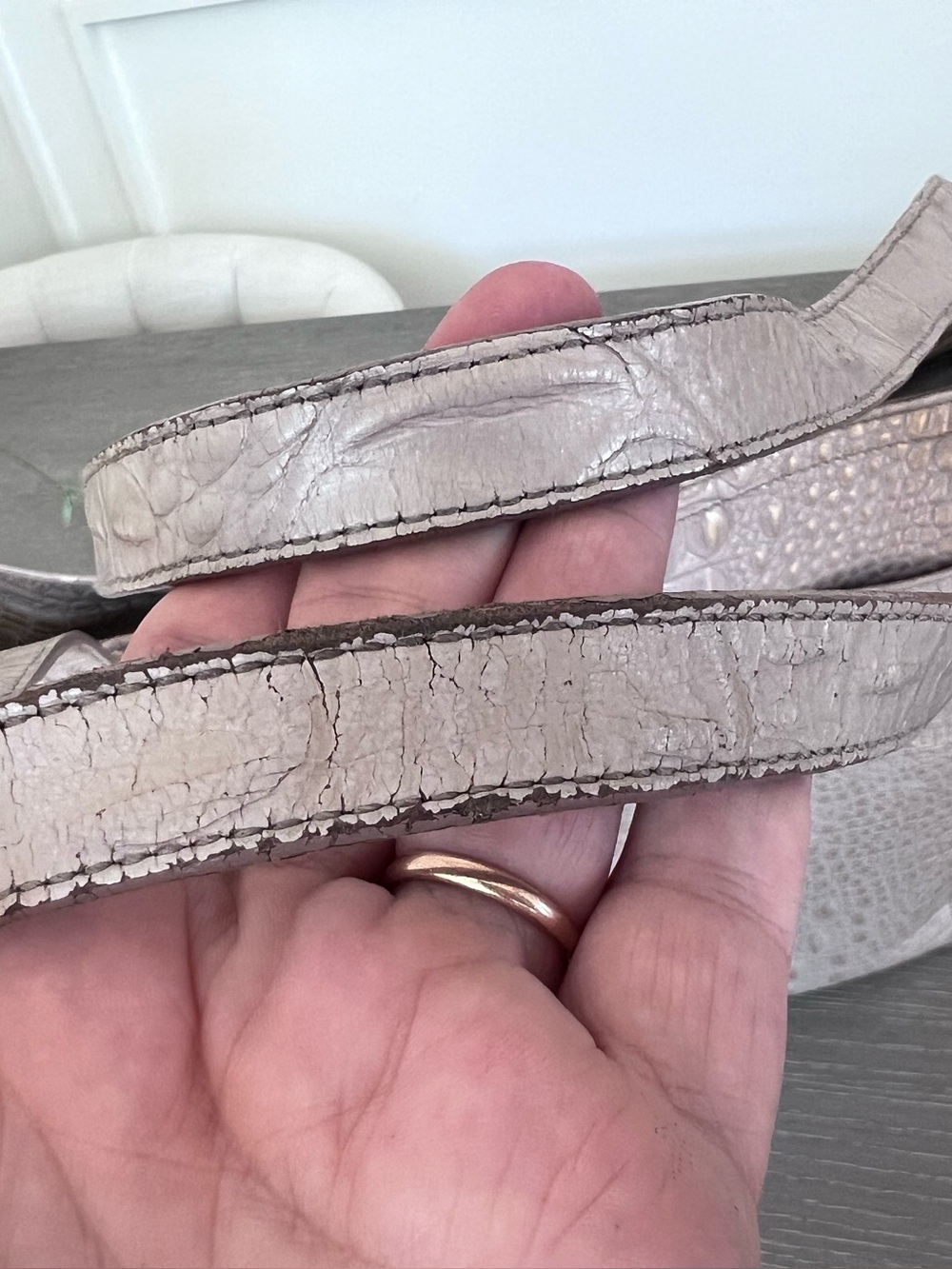 Brahmin Croc-Embossed Tote in Light Taupe - Picture 4 of 15